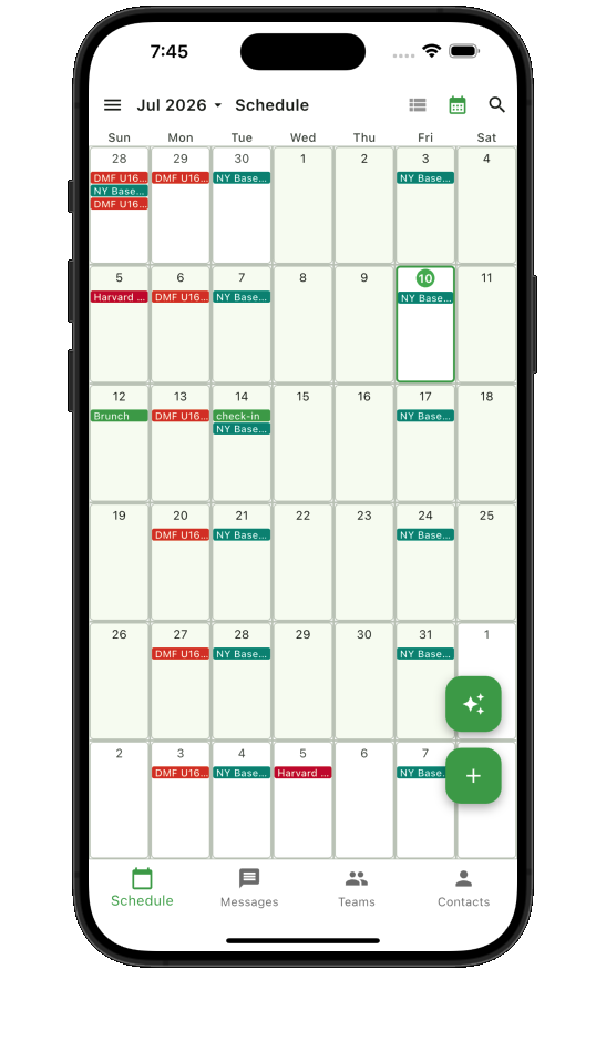 Teamnest Pro month event view